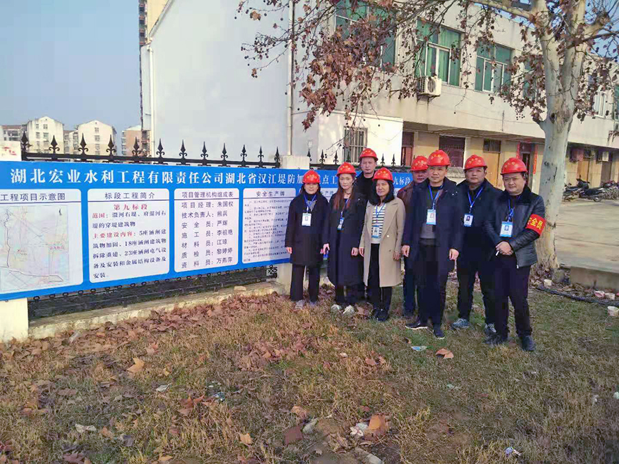 湖北省汉江堤防加固重点工程（府澴河段）第九标段